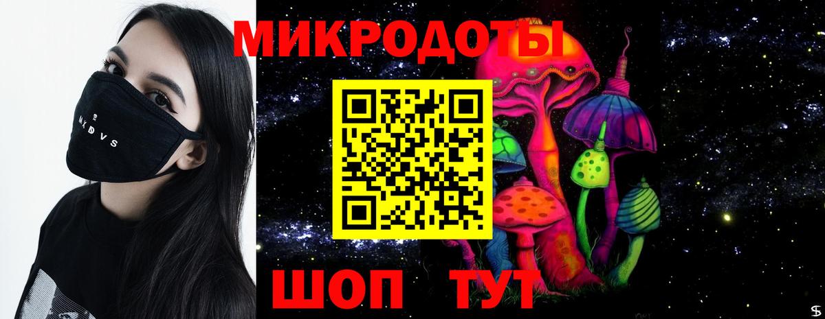 Галлюциногенные грибы мицелий Горячий Ключ